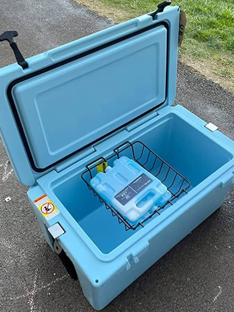 61NGZhq8v9L._UF1000,1000_QL80_